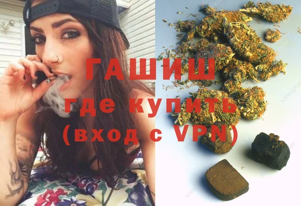 прущие грибы Аркадак