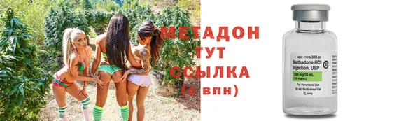 прущие грибы Аркадак