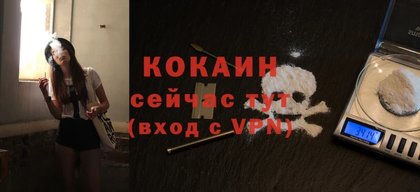 прущие грибы Аркадак